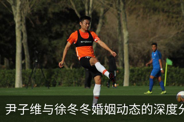 尹子维与徐冬冬婚姻动态的深度分析