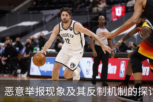 恶意举报现象及其反制机制的探讨